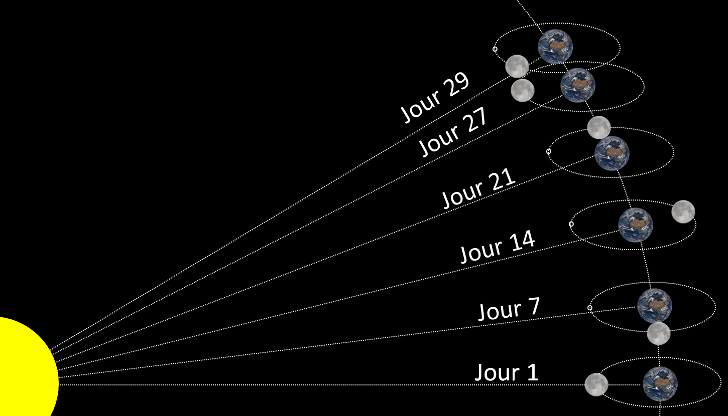 Mouvement de la Lune sur un mois. Période sidérale et synodique