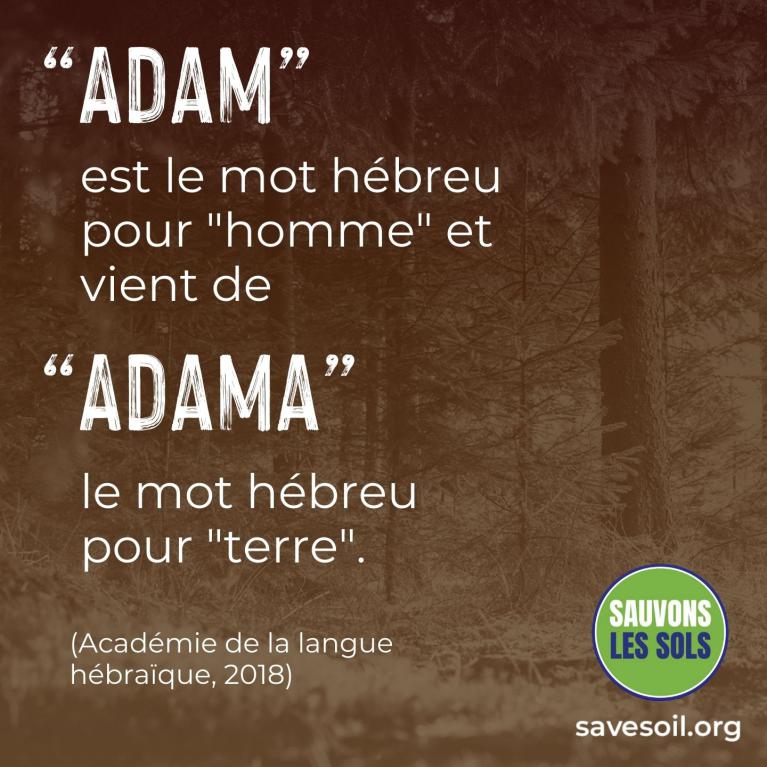 Origine du nom Adam